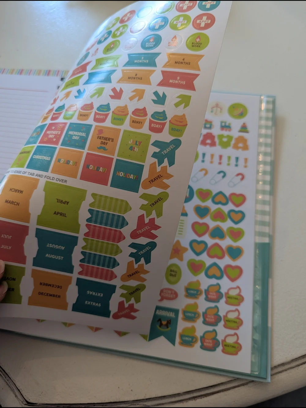Prenatal Appointments Home Office Planner - Multi-Color Planner And Baby Book